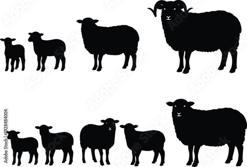 Black silhouettes of active people jumping, kicking, dancing, handstanding and practicing yoga poses isolated on white background for diverse fitness concepts.