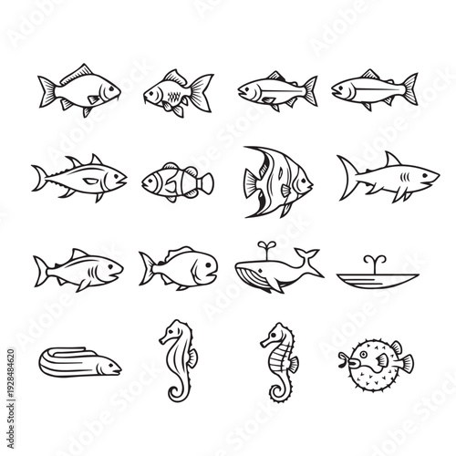 Diverse Marine Life Collection: Fish Seahorses Whale Eel Icons
