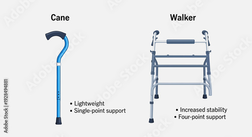 A Visual Comparison Of Mobility Aids Showcasing Canes And Walkers For Enhanced Support