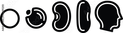 Black and white illustrations of human head development stages wqe 96