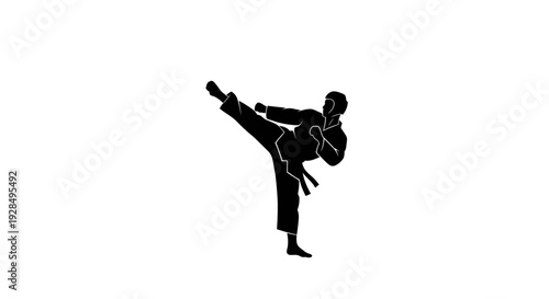Martial artist performing high kick with martial arts uniform