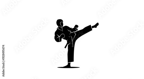 Martial arts practitioner executing high kick in training