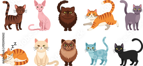 Cute domestic cat breeds collection with different colors poses and fluffy cartoon characters vector illustration