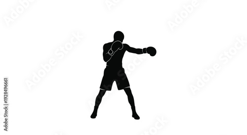 Silhouette of a Baseball Player Throwing a Ball