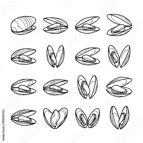 Mussel Icons Set Open and Closed Shells Seafood Ingredient Vector Illustrations
