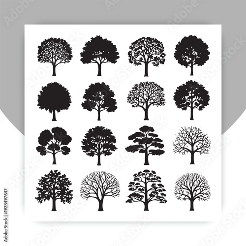 Black Tree Silhouette Icon Set – Collection of Different Forest Trees Isolated on White Background, Vector Illustration,