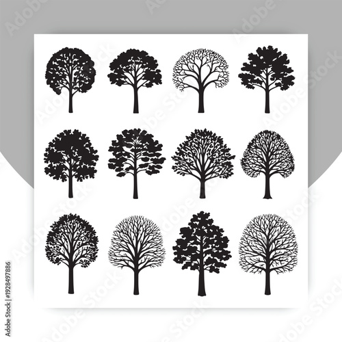 Black Tree Silhouette Icon Set – Collection of Different Forest Trees Isolated on White Background, Vector Illustration,