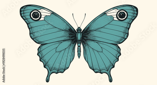 Blue butterfly illustration, detailed insect wing design, nature art