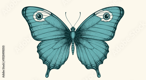 blue butterfly illustration, detailed insect wing design