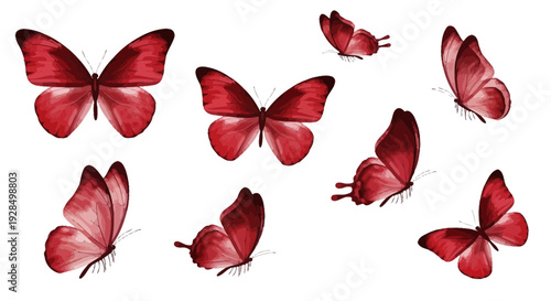 Red butterflies on white, nature, insect, wings, flying, watercolor