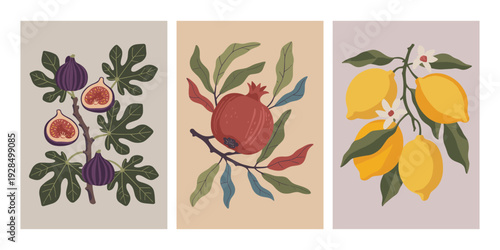 Triptych of Botanical Fruit Illustrations vector