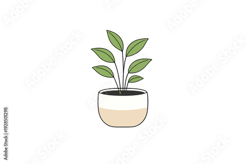 A simple illustration of a green leafy plant in a two-toned ceramic pot, featuring a white top and a beige bottom, set against a solid black background for a clean and modern look.