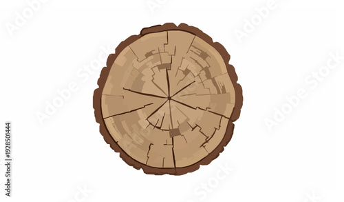 Top view realistic tree stump with annual growth rings vector isolated on white background