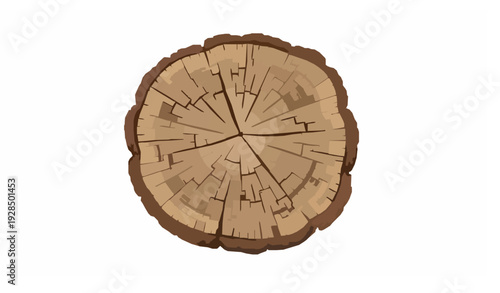 Old tree stump realistic vector with bark texture and growth rings isolated on white