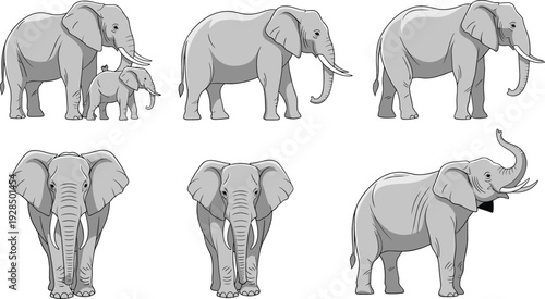 Realistic elephant collection with different poses front view side view and baby elephant vector illustration set