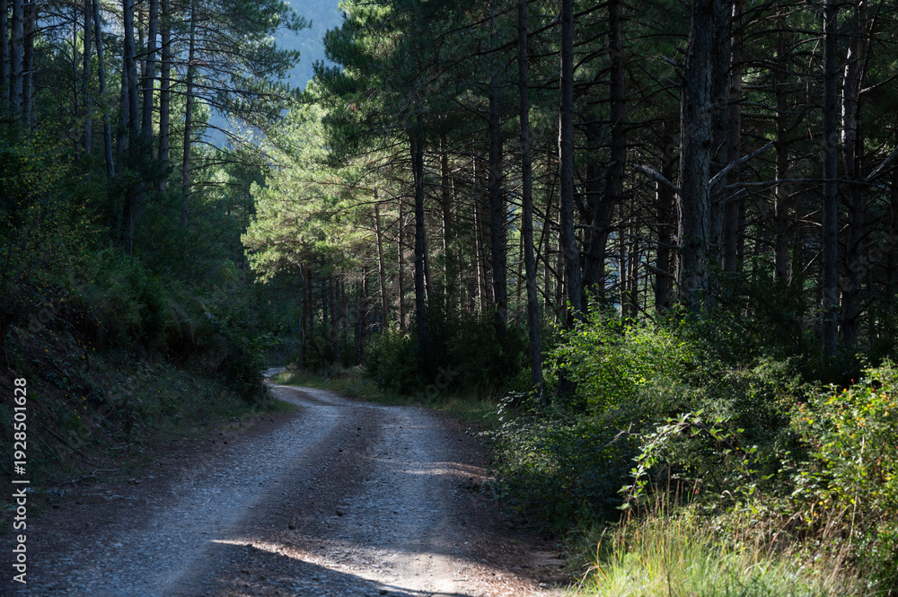 Fototapeta premium Camino de Abella de la Conca a Bóixols, Pallars Llussà.