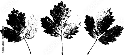 Autumn park falling leaves in high contrast stencil style for seasonal decor or design