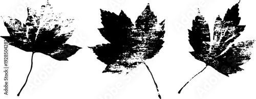 Autumn park falling leaves in stencil style for seasonal design and decoration