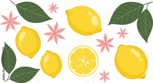 Fresh yellow lemon collection with whole sliced citrus fruits green leaves and floral elements vector illustration