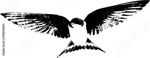 Barn swallow with outstretched wings stencil style for art and design projects