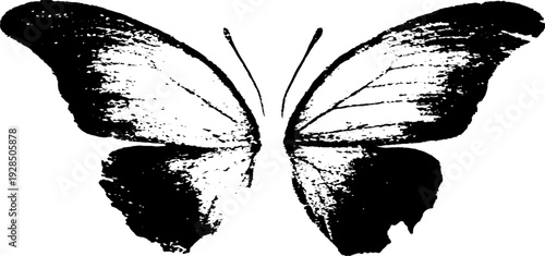 Abstract butterfly wings stencil design for artistic projects