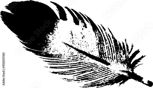 High contrast abstract chicken feather stencil for design and decoration