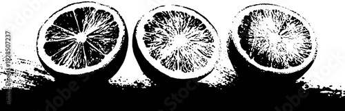 High contrast citrus segment membranes in stencil style for creative design