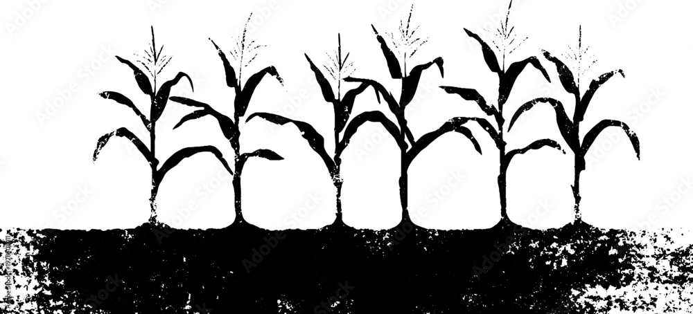 Obraz premium Abstract corn row furrows in high contrast stencil style for nature and agriculture design