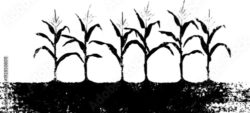 Abstract corn row furrows in high contrast stencil style for nature and agriculture design