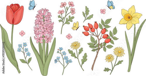Spring garden flowers collection with tulip hyacinth daffodil wildflowers and botanical elements vector illustration set