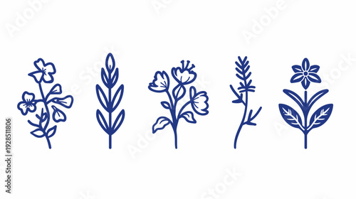 Five stylized botanical illustrations of various flora in a dark blue hue on a white backdrop