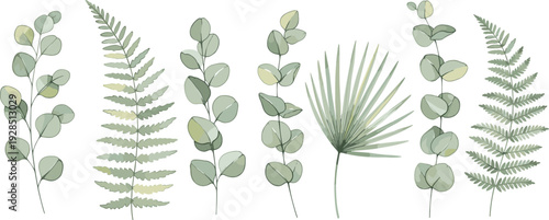 Elegant hand drawn botanical greenery vector set featuring eucalyptus branches fern fronds and fan palm leaves for wedding invitations and nature inspired branding.