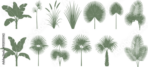 Green tropical palm leaf silhouettes vector set featuring banana tree foliage exotic jungle plants and summer botanical elements for nature inspired graphic design.
