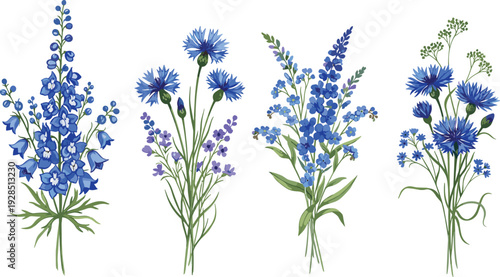 Hand drawn blue wildflower bouquets vector set featuring cornflowers delphiniums and forget me nots for botanical nature inspired celebration greeting cards and floral branding.