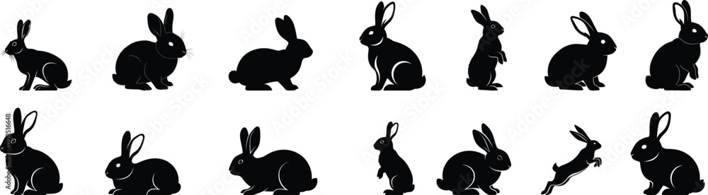 Obraz premium Sequence of rabbits in various poses