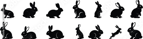Sequence of rabbits in various poses