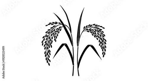Black and white illustration of two rice stalks with detailed grain patterns