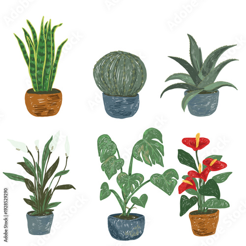 Aloe, spathiphyllum, monstera, cactus, anthurium, sansevieria. Board with illustrations of indoor plants
