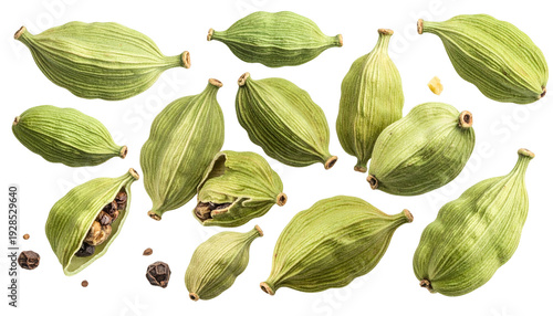 Close-up studio shot featuring a collection of green pods, some intact, others showing dark seeds within, set against a dark backdrop