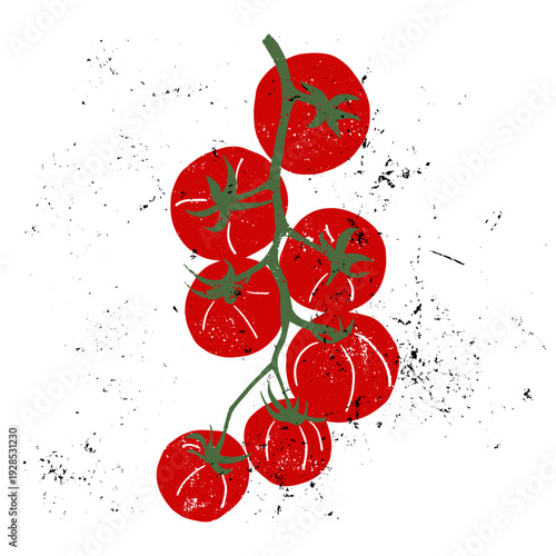 Grunge illustration of tomatoes on the vine. Hand drawn linocut style vegetables set. 