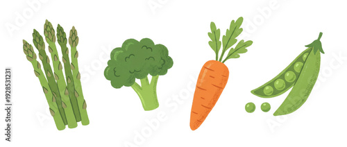 Tableau sur toile Hand-drawn illustration of fresh green vegetables and carrot featuring asparagus
