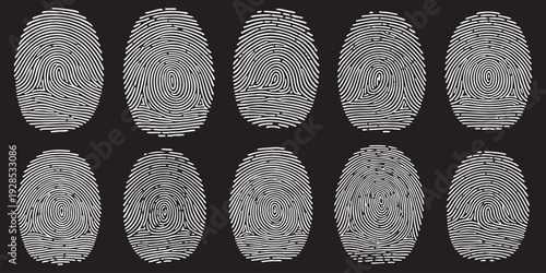 Collection of eight unique fingerprint patterns on a black background