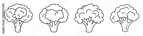 Four outlined broccoli florets standing in a row on a white background