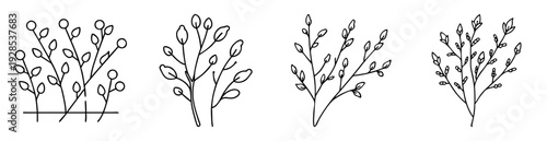 Four different plant or bush images arranged in a row with a black outline