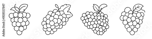 Four Bunches of Grapes, Depicting Fresh and Delicious Fruit Outlines
