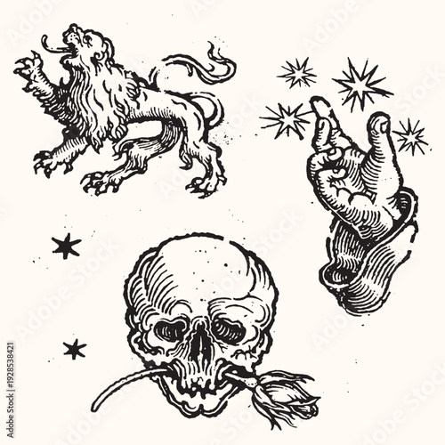 Black and White Vintage Illustrations: Lion, Hand with Stars, Skull with Rose, Stars