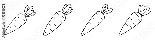 Four stylized line art carrots in a row on a white background