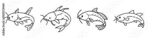 Four Line Art Illustrations of Different Types of Fish Swimming Together