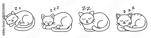 Doodle illustration of four sleeping cats curled up with dreaming zzz symbol