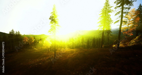 Fotografie Blazing dawn over hilltop pines lighting valley with intense glow, high contrast